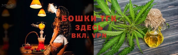 дмт Костерёво