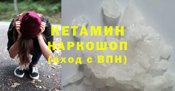 гашик Корсаков