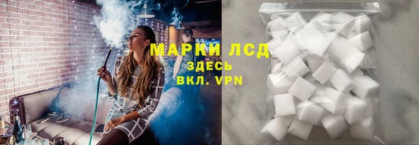 гашик Корсаков