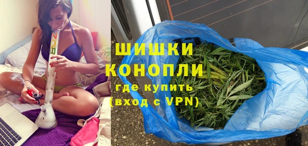 дмт Костерёво