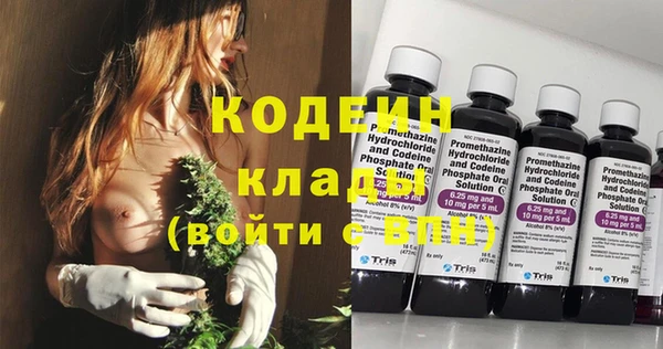 гашик Корсаков