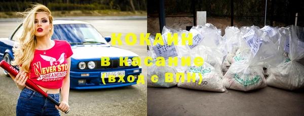 гашик Корсаков