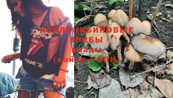 дмт Костерёво