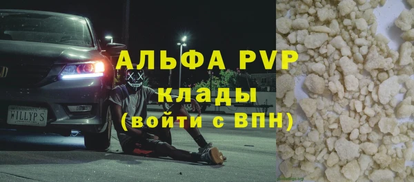 гашик Корсаков