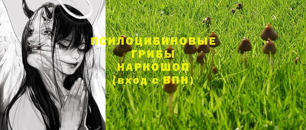 дмт Костерёво