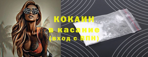 гашик Корсаков