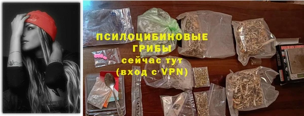 гашик Корсаков