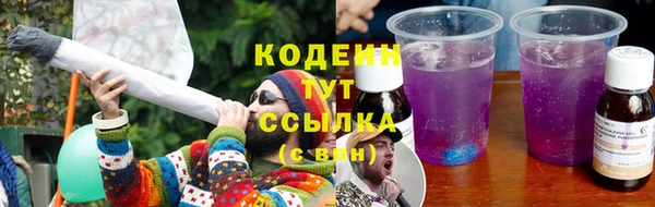 гашик Корсаков