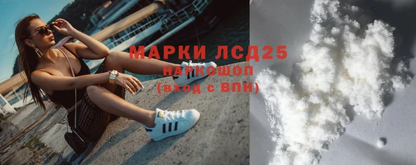гашик Корсаков